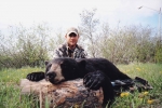 Northern Whitetail Outfitters Bear hunting