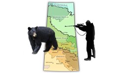 Saskatchewan Bear Hunting